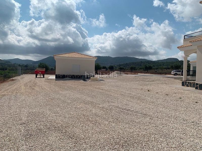 Foto f9e9f31e-93dd-443a-9bd6-421d76e6ace2. Xalet amb piscina a Pinoso