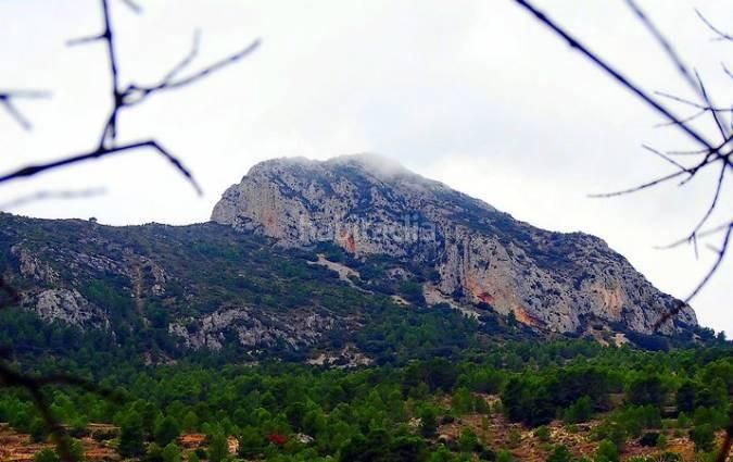 Foto 21e75e77-5b61-4f1d-aa69-e082ff9ba075. Xalet amb aparcament piscina a Romana (la)