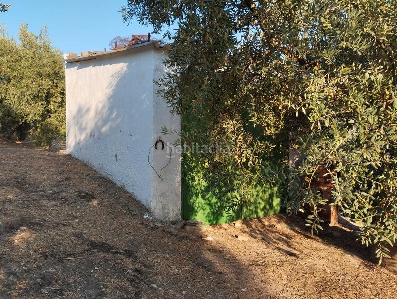 Foto 8acf679d-2dd7-4304-b363-3184271fceed. Finca rústica a Cabra