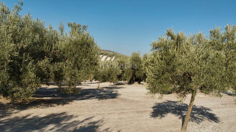 Foto 14cb0cb1-27cb-476f-a217-a2d3506c73b3. Landgut in Cabra