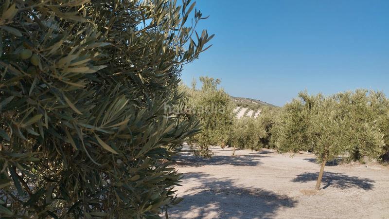 Foto 20544a3a-1d7f-431f-8047-0d94d7844acf. Landgut in Cabra