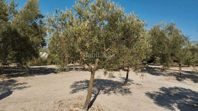 Foto fcb1aa71-2ddc-4364-9ba8-d587648d8401. Landgut in Cabra