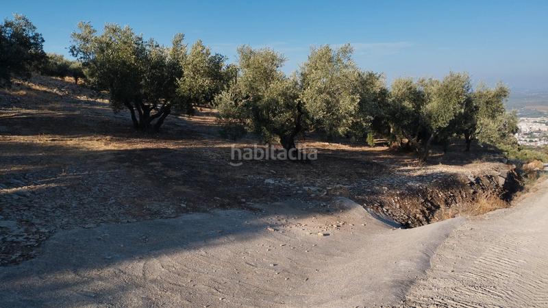Foto 3d6977bc-5ccc-4496-8428-d585d55377b9. Finca rústica olivar en el chorron a pie de camino en Cabra