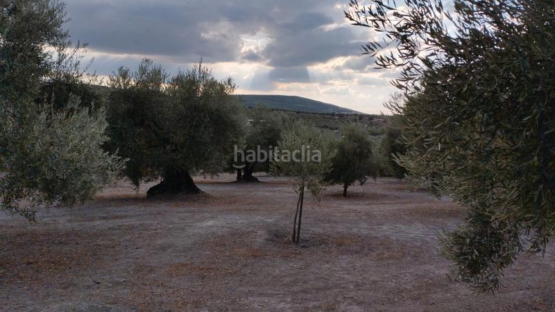 Foto 21c159d8-89be-44c4-8af9-1555f6b68817. Rural plot in Cabra