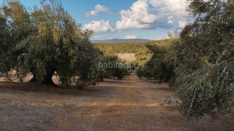 Foto 9608b7f3-fba8-42d1-a6bc-99df6e64b38a. Propriété dans Cabra