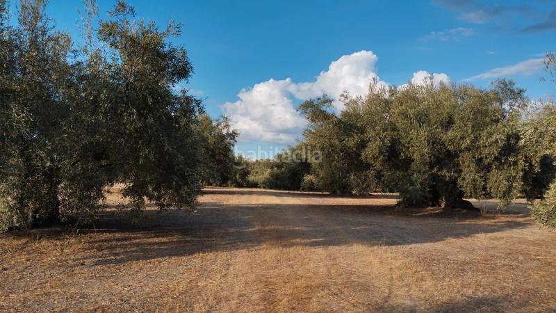 Foto a4dcadca-f5f5-4483-b2ee-404d029efe92. Propriété dans Cabra