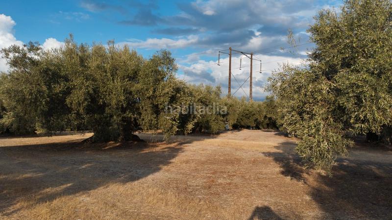 Foto b45b0f58-f87e-4b06-b2e7-1a23016e399a. Propriété dans Cabra