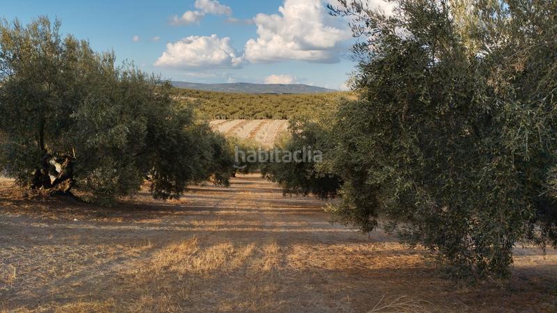 Foto cf1e1c99-8376-49cc-a70e-2bd0a68f7bc4. Propriété dans Cabra