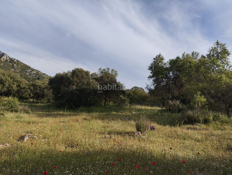 Foto 4018ff76-a527-4ac3-91f2-ceea40026fe1. Finca rústica a Cabra