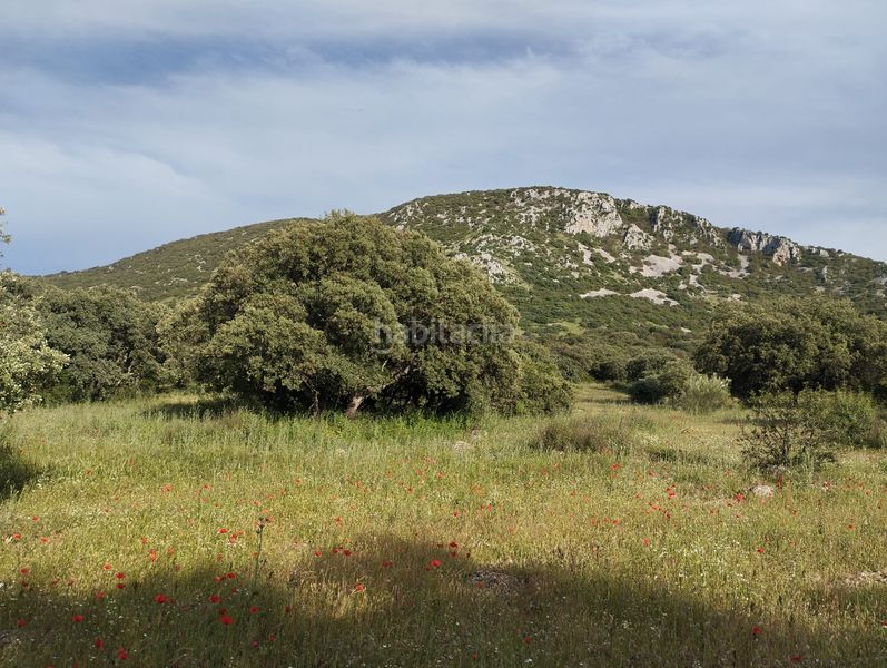 Foto a4ceb3f7-26c0-4930-ad34-e48e1e2b46f4. Finca rústica a Cabra