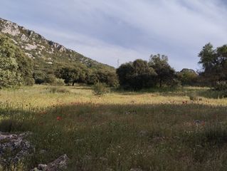 Fondo rustico  Calle doña mencía. Dehesa entre cabra y doña mencia