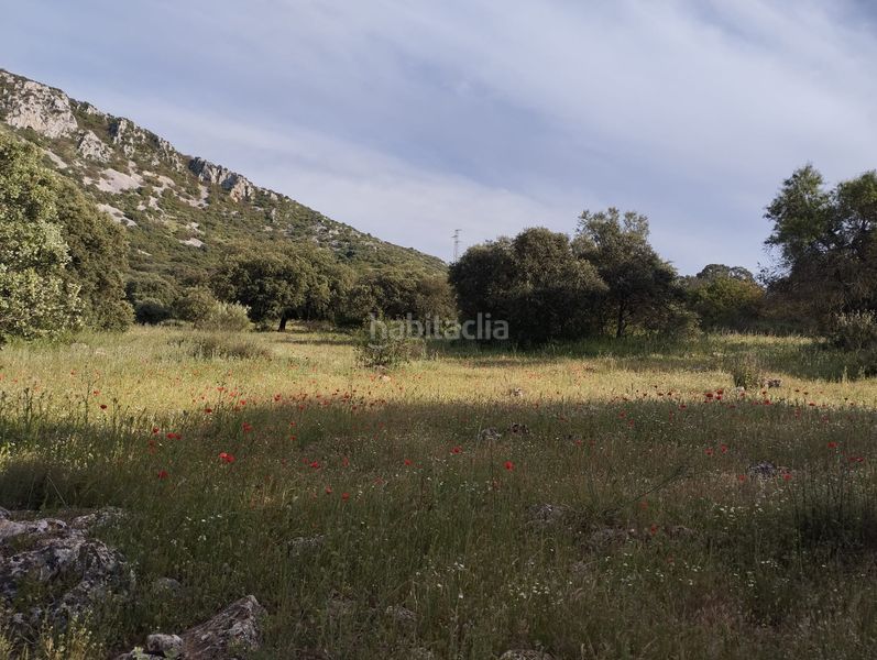 Foto a9688623-54b8-4c2e-89de-d4d87f330a1d. Finca rústica a Cabra
