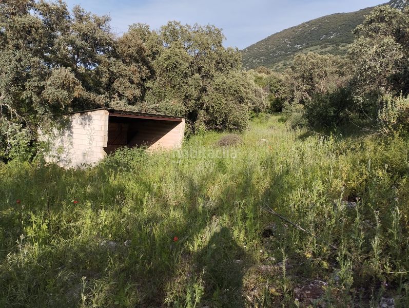 Foto dbd5a1a5-dbdd-43f9-b408-b7325f0d0d05. Finca rústica a Cabra
