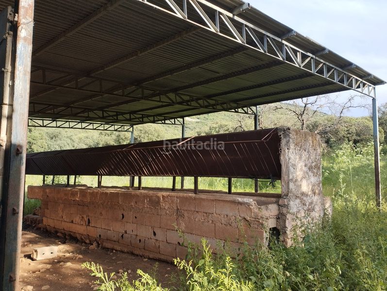 Foto df34d79d-9cd8-4200-a235-bdaef48d443c. Finca rústica a Cabra