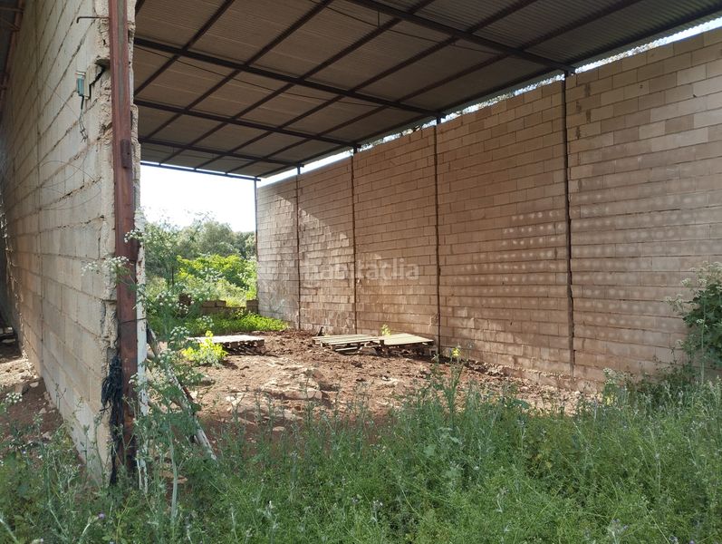 Foto e2eb2442-f54e-4b6a-87a5-109bccd70e60. Finca rústica a Cabra