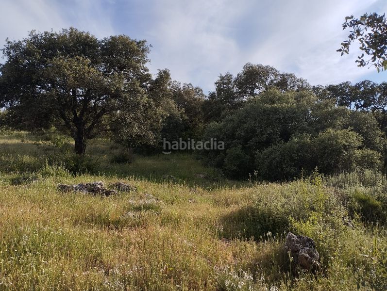 Foto f1399775-b038-4449-a4d3-cf2a3a2509fd. Finca rústica a Cabra