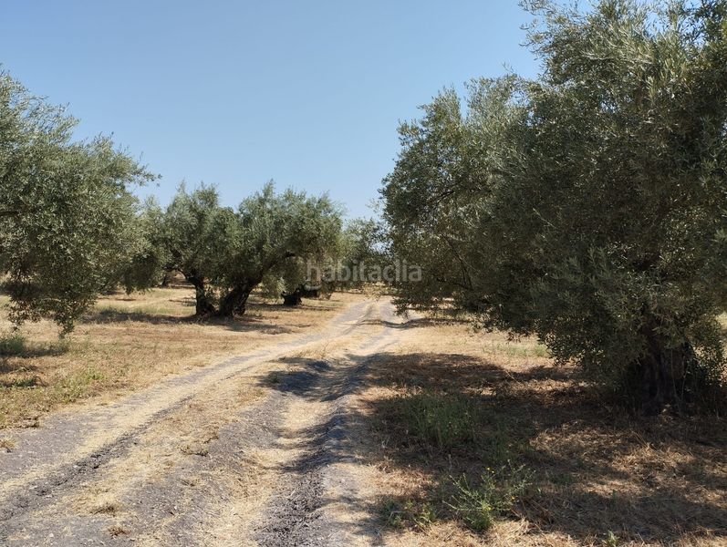 Foto aa31ce5f-f66e-4b69-b37c-c0cc391b08eb. Finca rústica a Cabra