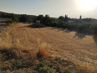 Rural plot in Cabra. Parcela rustica muy cerca de cabra