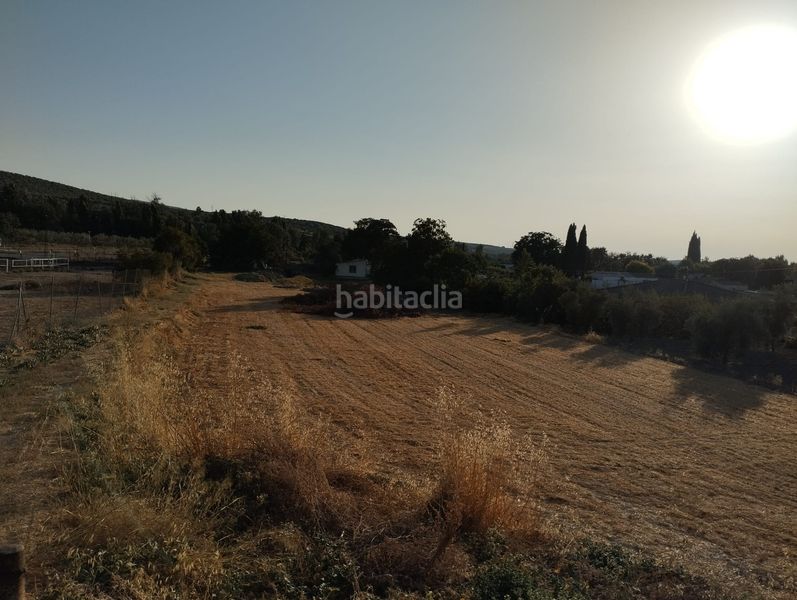 Foto 9f4cefb4-50a0-486a-835e-ac7a8254f7e9. Finca rústica a Cabra