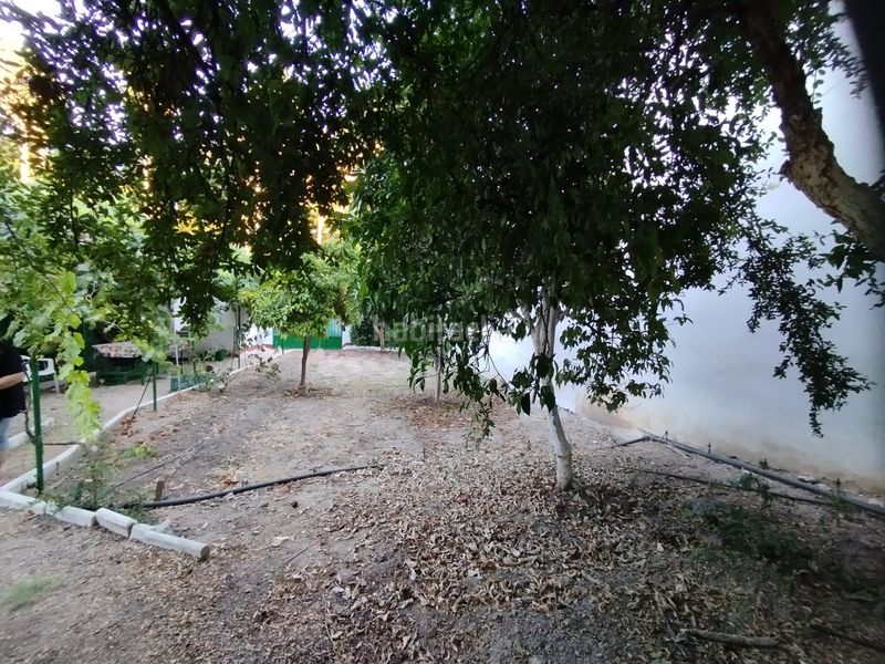 Foto 40aead8b-f996-4890-94df-9ee66b596e39. Terreny residencial a Cabra