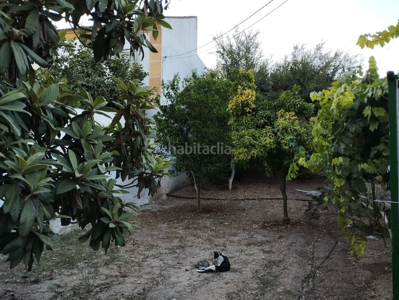 Foto bbff6c95-edaa-4056-a6b0-6558d93b30c8. Terreny residencial a Cabra