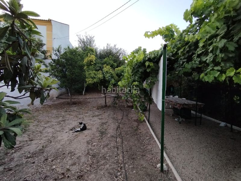 Foto fb96f049-ba47-4134-9e87-cd7752ec14d6. Terreny residencial a Cabra