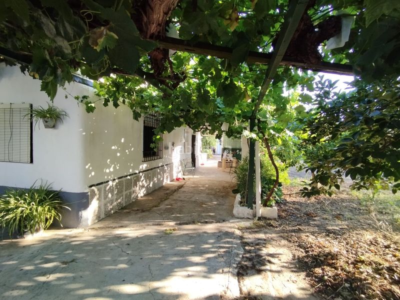 Foto ff053dc0-33e0-4696-8645-adc191f51ebb. Finca rústica a Cabra