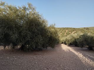 Finca rústica a Cabra