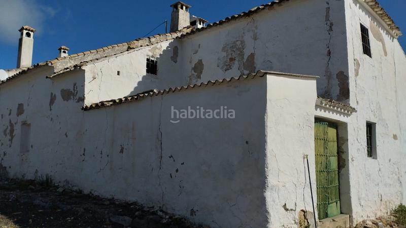 Foto 3ea1efbf-e561-4b87-9602-271d5de6bf45. Finca rústica olivares en antigua carretera de montilla en Cabra