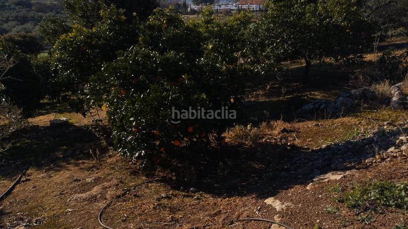 Foto 09e851d1-3d8d-414b-9a57-a47da807250e. Propriété dans Cabra