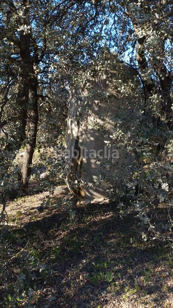 Foto 0b126a06-c1ab-45f6-bbc3-349f3c0db41d. Propriété dans Cabra