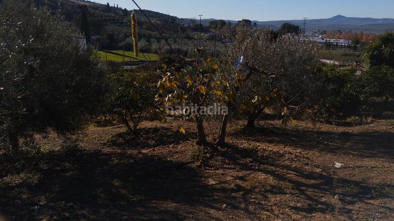 Foto 2f5f9a59-84fc-49bc-9ed0-d038c67b998d. Propriété dans Cabra