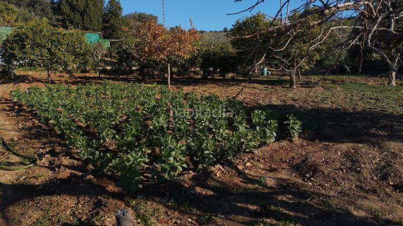 Foto 3b940a5d-735a-4d3b-b5ec-a3b298883464. Propriété dans Cabra