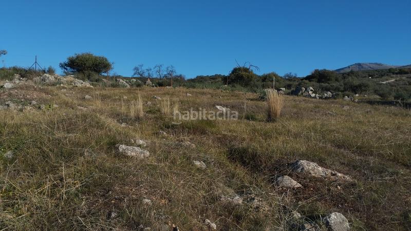 Foto 6a70d1f1-f649-40af-a10a-cf84ff671893. Propriété dans Cabra