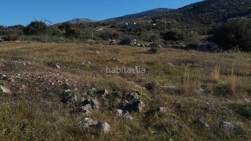 Foto 83853b6f-66ba-41ee-b46f-250ae4eff301. Propriété dans Cabra