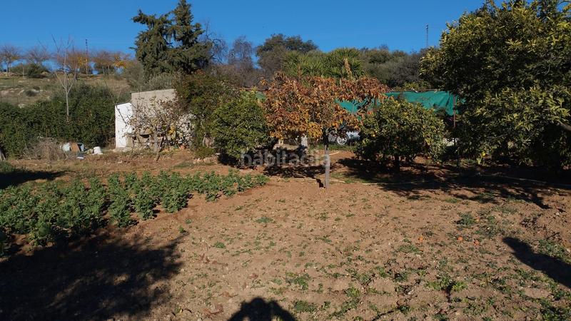 Foto b7a5b193-c0c1-4985-a042-e41564047f5c. Propriété dans Cabra