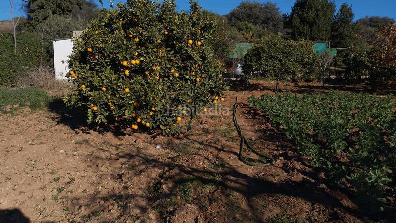 Foto d5d62698-ec46-41a4-8da5-f974e87a09b4. Propriété dans Cabra