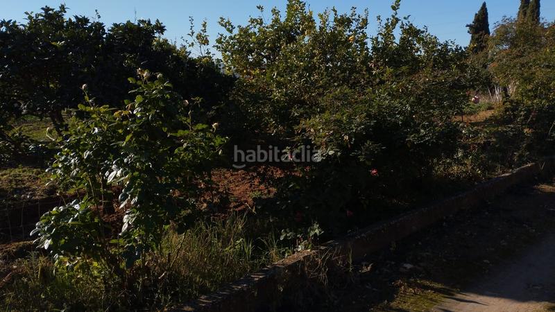 Foto f0a8e890-88f2-4753-bfae-f90cb85f8a7e. Propriété dans Cabra