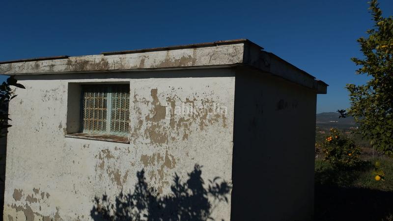 Foto 60f8ddd7-1cbc-4c13-b5c4-d72ce93c4d0f. Finca rústica olivar de variedad hojiblanca de un pie en Cabra