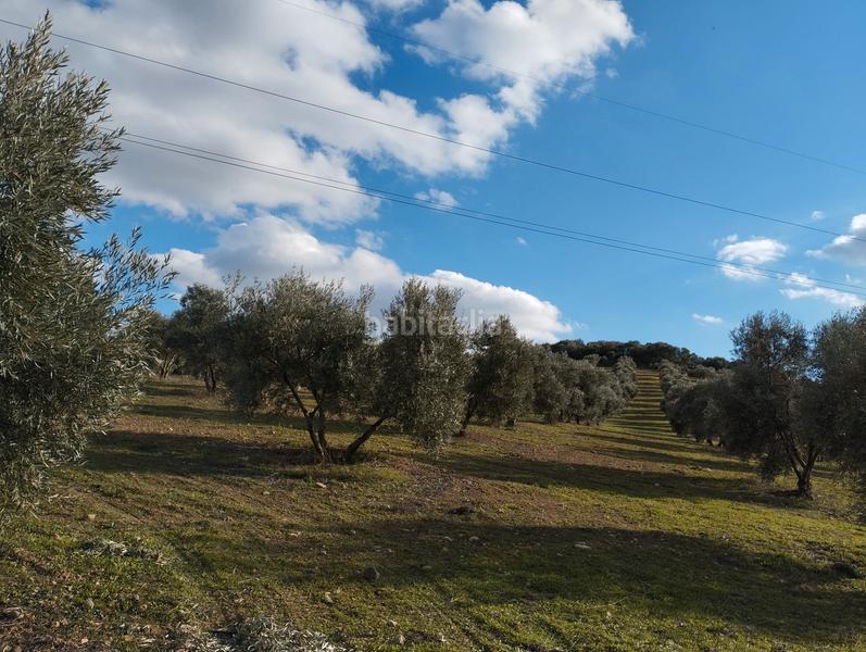 Foto 1639564f-03e4-4b23-b692-c8fe7846eaca. Finca rústica a El Valle Lucena