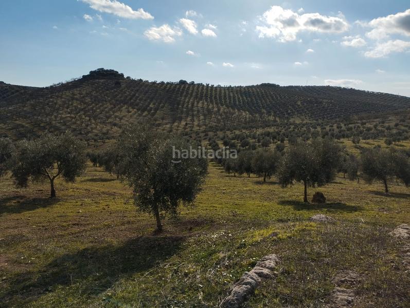 Foto 2a0c5706-77b1-4b63-8a1b-62b393ea2418. Finca rústica a El Valle Lucena