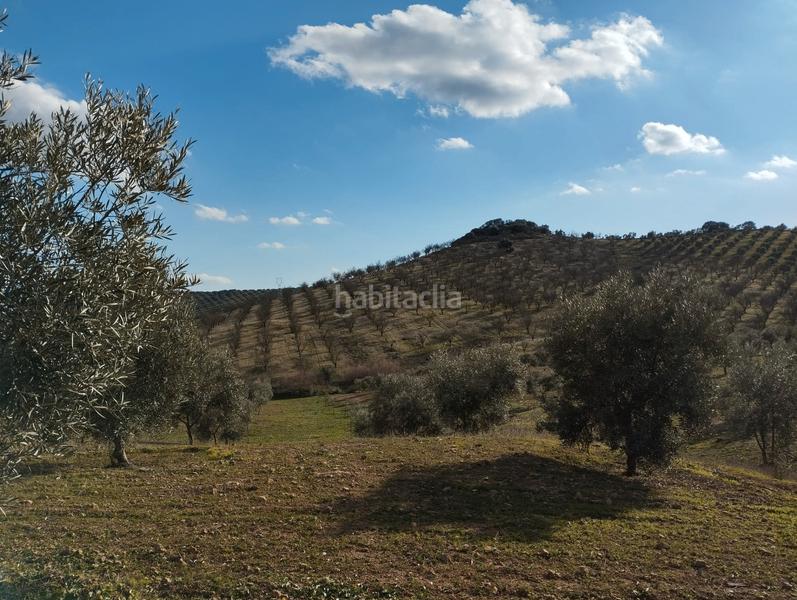 Foto 3092d1fb-f733-4eb2-91b0-9808084447dc. Finca rústica a El Valle Lucena