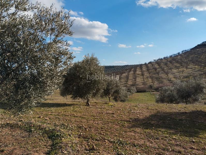 Foto 323477fe-88ec-4888-8b2a-11e4d0b83543. Finca rústica a El Valle Lucena