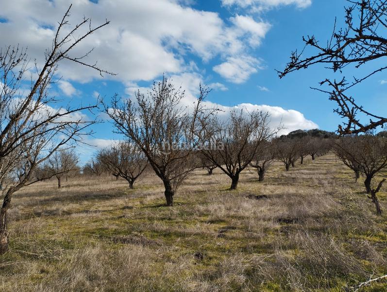 Foto 35b6d683-f94b-400b-ad8e-5ab5cc096a77. Finca rústica a El Valle Lucena