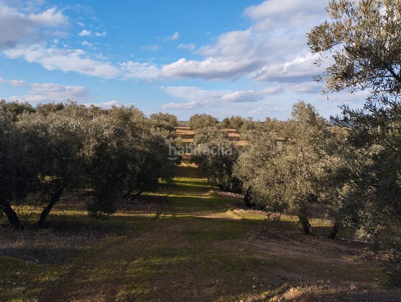 Foto 3bbe85ae-ac10-4593-b730-e7b686fdbf3a. Finca rústica a El Valle Lucena