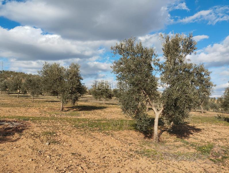 Foto 50875d27-2075-4fa6-915e-17f6dbd99a29. Finca rústica a El Valle Lucena