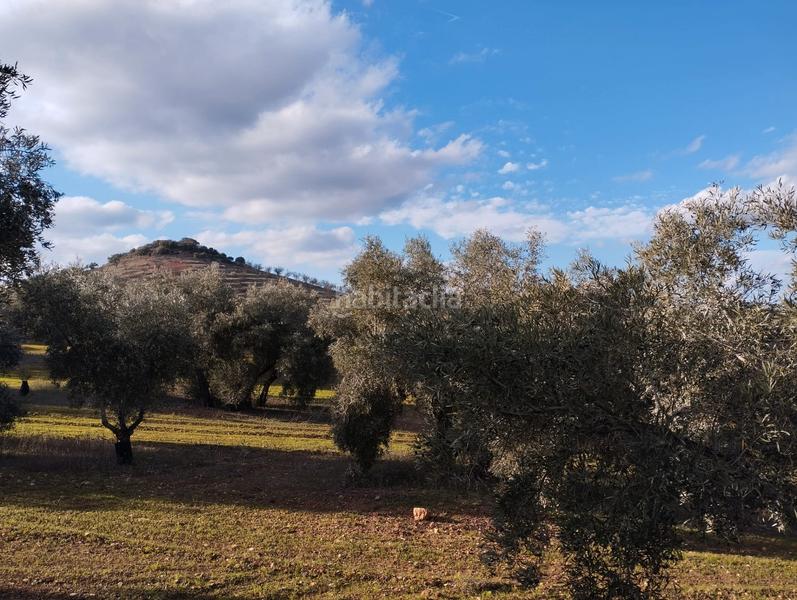 Foto 52d63d46-898c-425b-85d5-ee8d71c6cd72. Finca rústica a El Valle Lucena