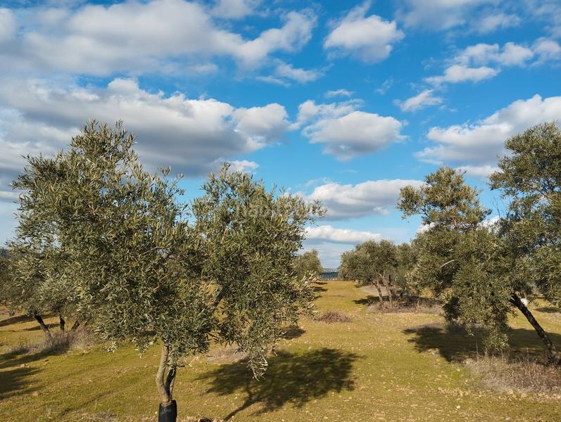 Foto 76ae0ddb-ef68-4ddc-9f62-3f88fc79c681. Finca rústica a El Valle Lucena