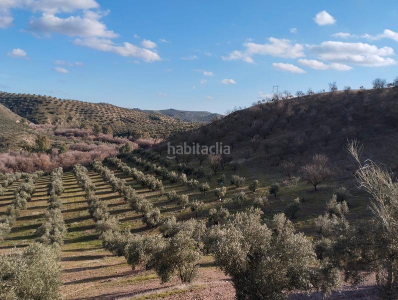 Foto 79c44527-1d53-43e0-80f0-f31acae5c4e0. Finca rústica a El Valle Lucena