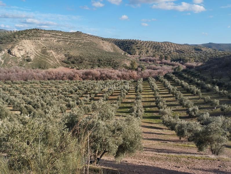 Foto 945da4a6-8423-4747-b769-3999e96366ef. Finca rústica a El Valle Lucena